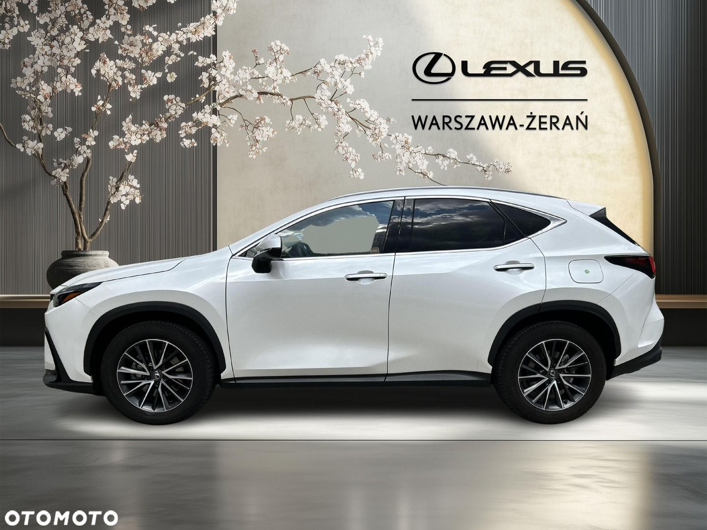 Lexus NX - 4