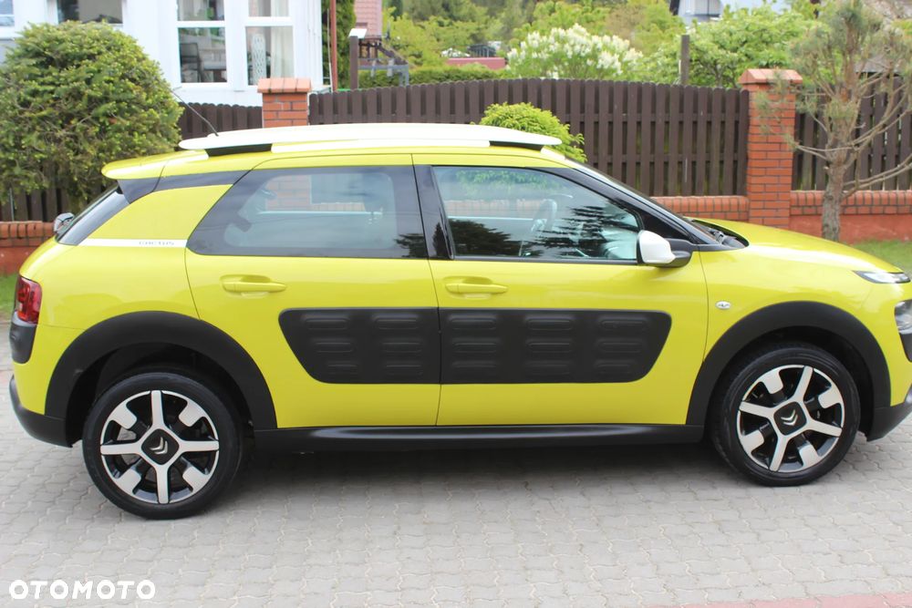 Citroën C4 Cactus PureTech 82 Shine Edition - 29