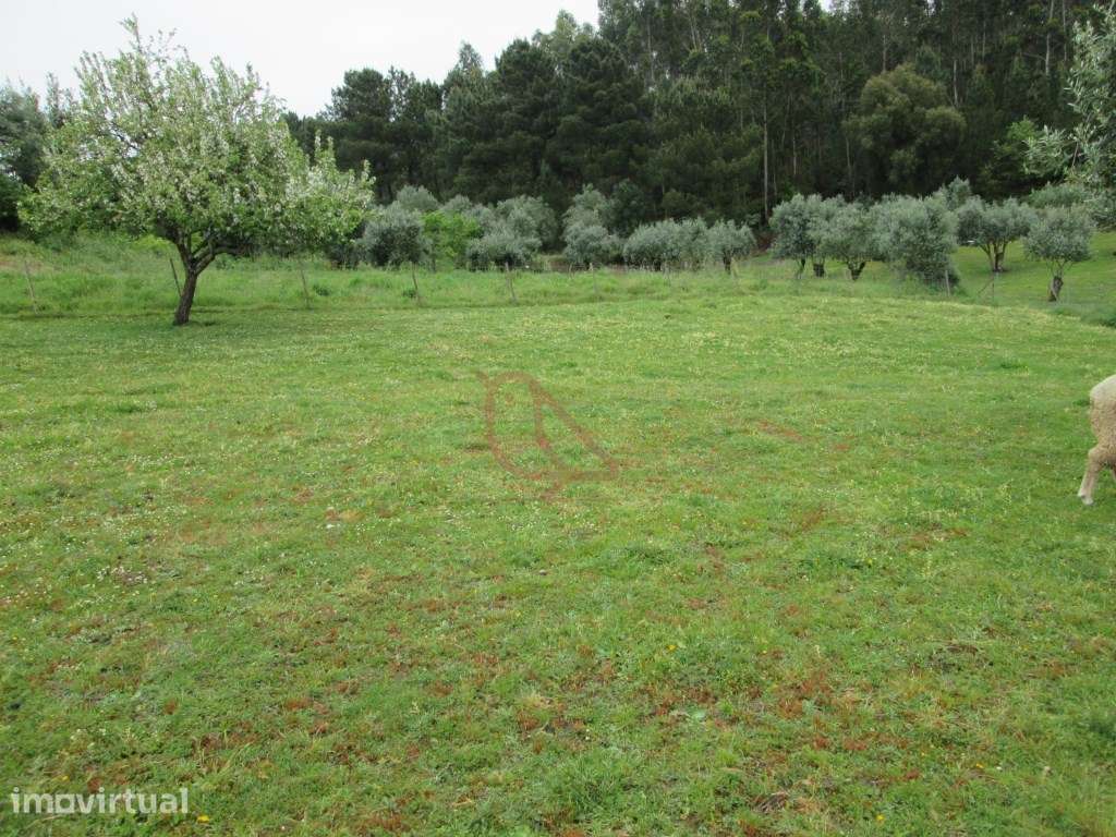 Terreno para construção/Ourém/Atouguia - Grande imagem: 4/8