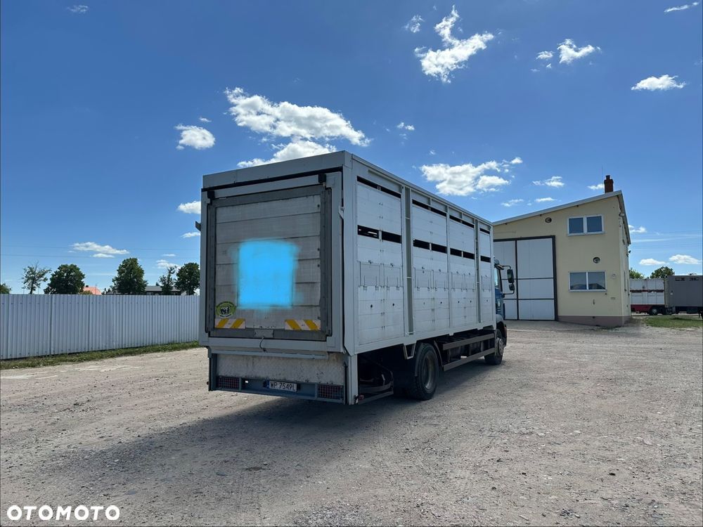 MAN TGM 18.290 - 6