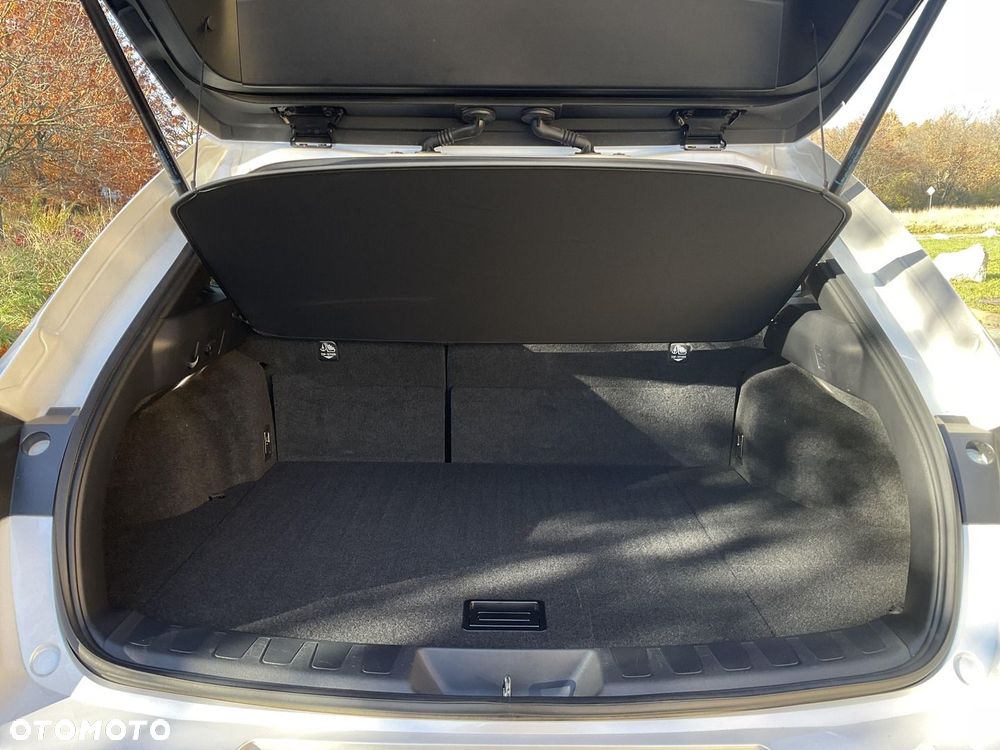 Lexus UX 300h Business - 23