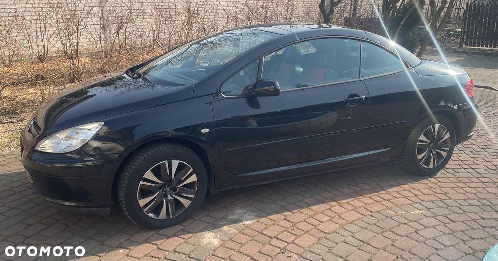 Peugeot 307 - 10