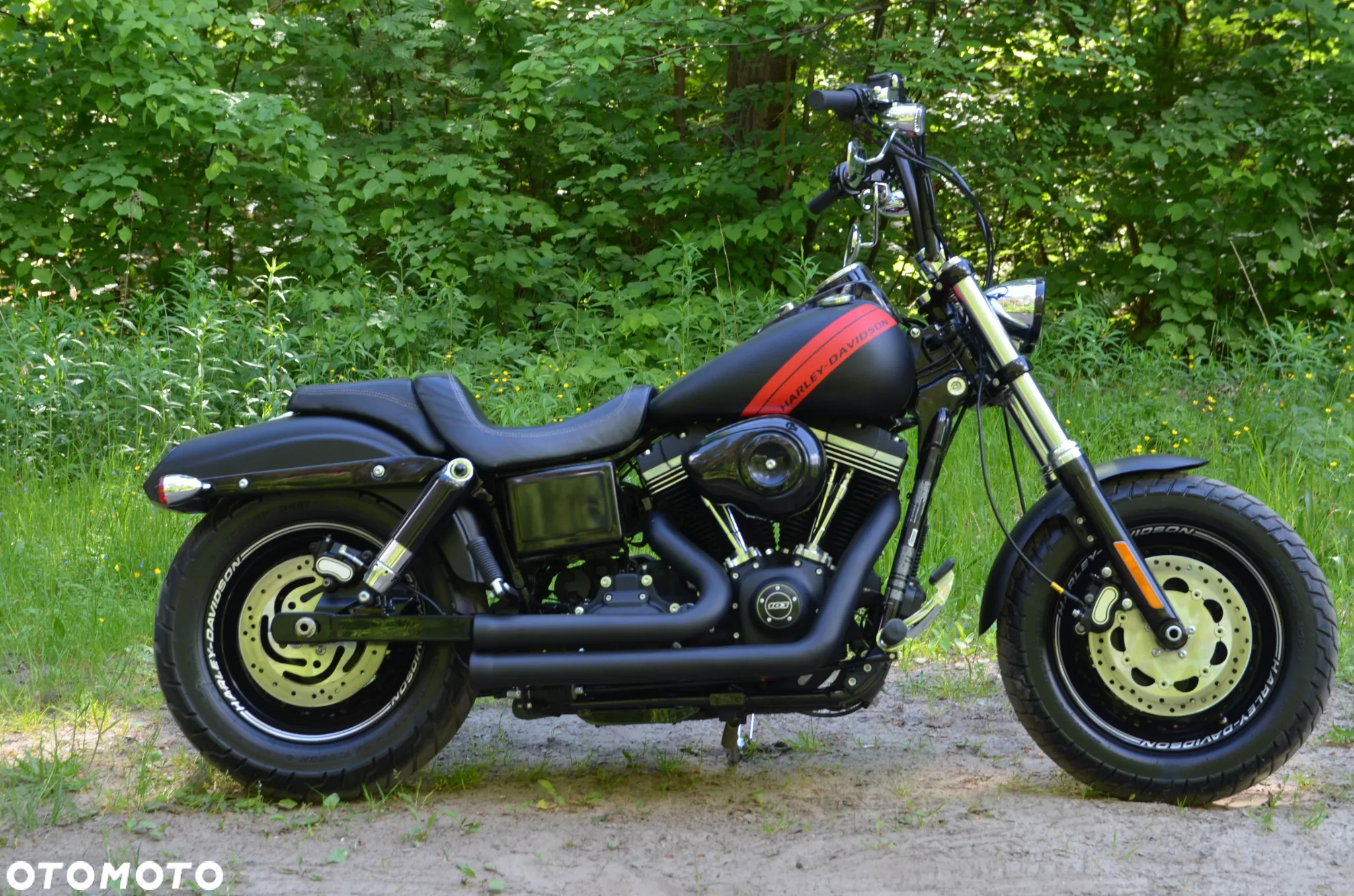 Harley-Davidson Dyna Fat Bob - 19