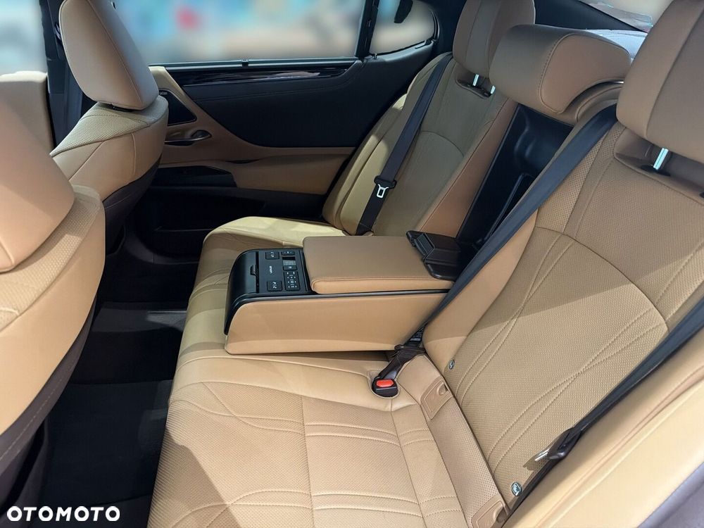 Lexus ES 300h Omotenashi - 15