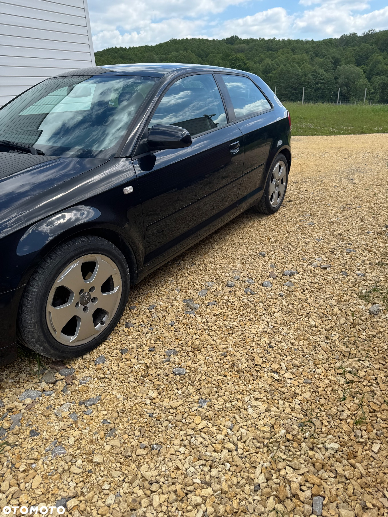 Audi A3 1.9 TDI DPF Attraction - 2