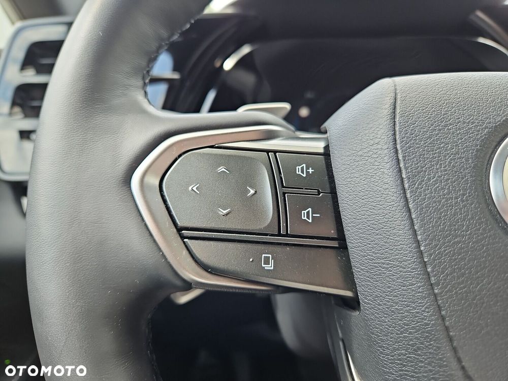 Lexus RX - 10