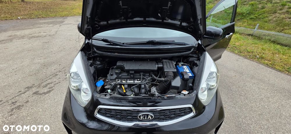 Kia Picanto 1.2 Fifa World Cup Edition - 20