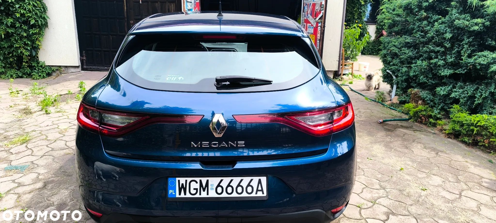 Renault Megane 1.2 Energy TCe Life - 1