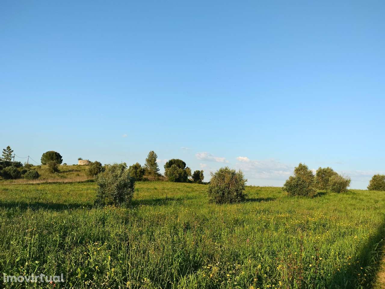 Terreno, 12 560 m², Alcanhões - Grande imagem: 4/9