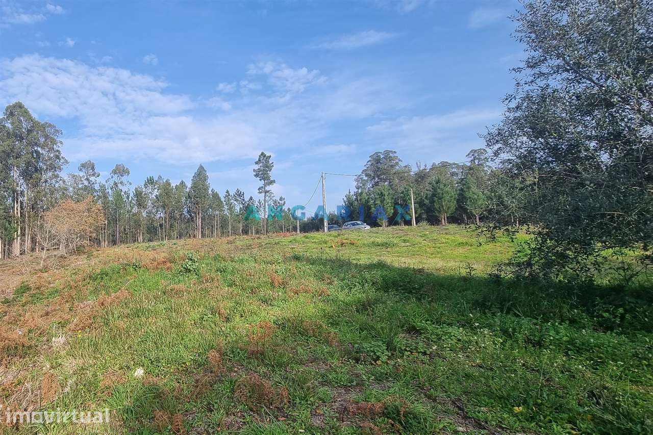 ANG1017 - Terreno de 4174m2 à Venda em Maceira, Leiria - Grande imagem: 2/12