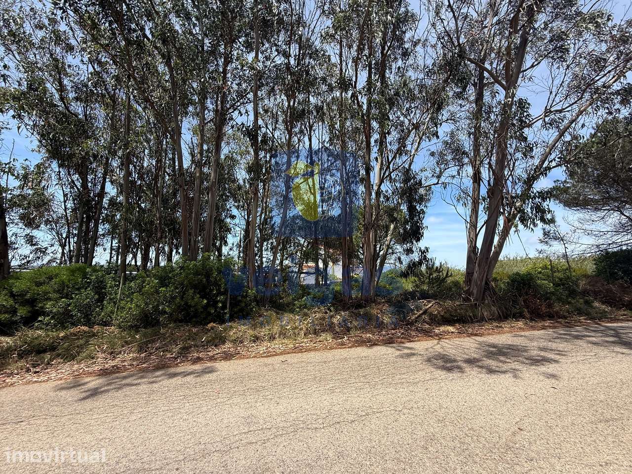 Lote de Terreno com Projeto para Moradia T3 com Piscina – Nadadouro - Grande imagem: 2/15