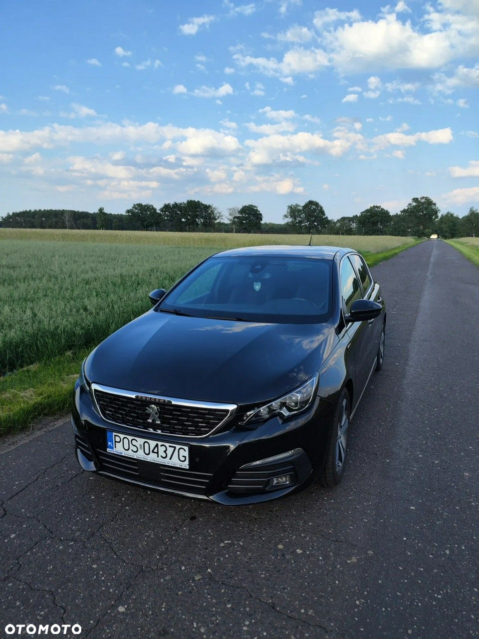 Peugeot 308 1.5 BlueHDi GT Pack S&S EAT8 - 3