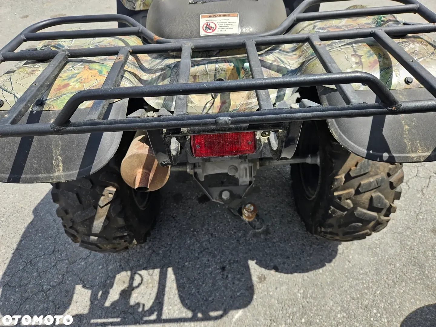 Kawasaki Brute Force - 22