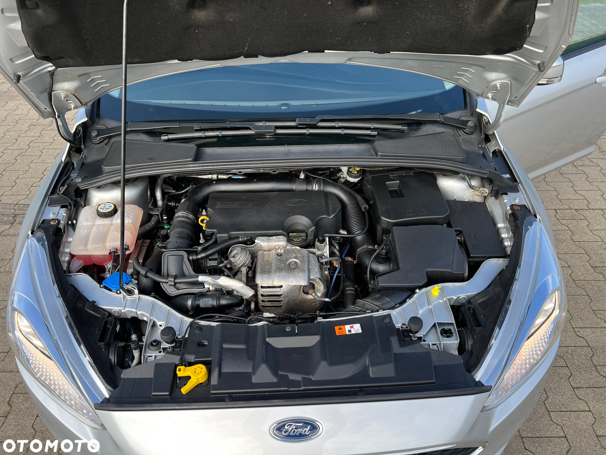 Ford Focus 1.0 EcoBoost Gold X (Edition Start) - 22