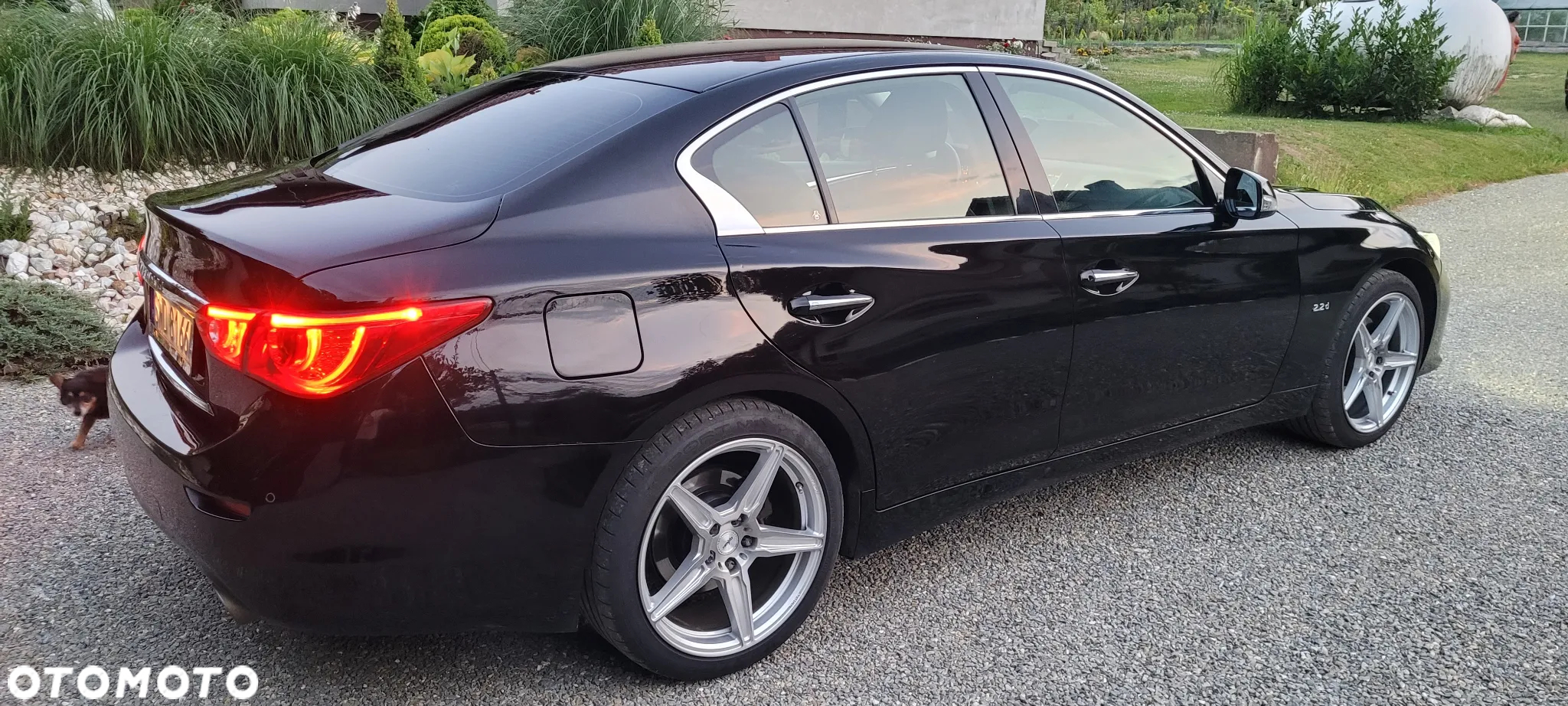 Infiniti Q50 2.2d - 33