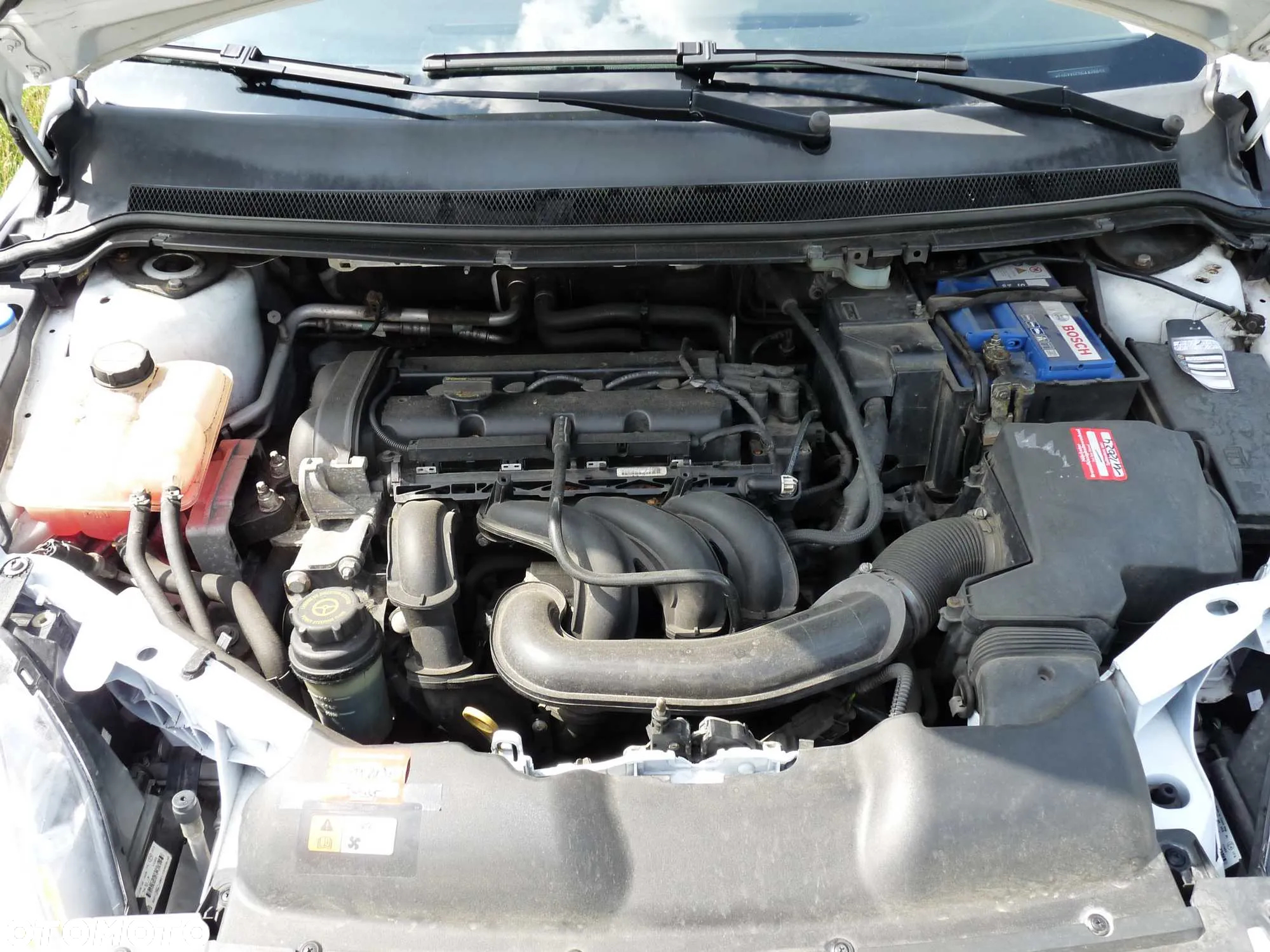 Ford Focus 1.6 16V Viva II - 13