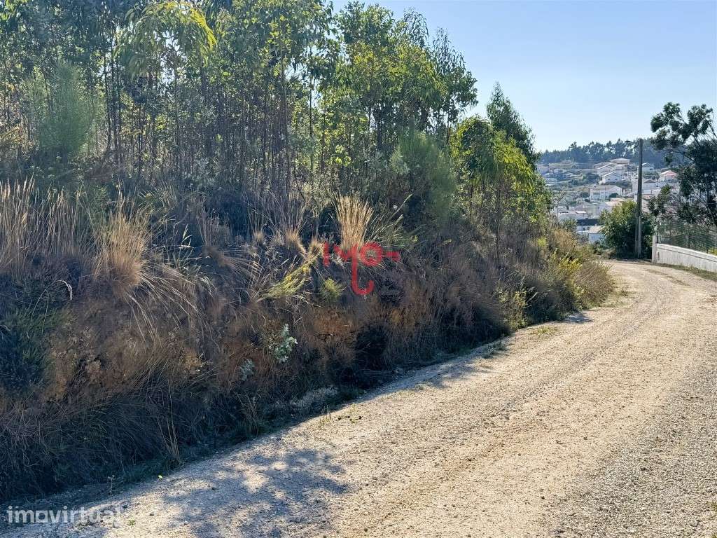 Terreno para Construção em Fonte Grada, Torres Vedras PIP Aprovado ... - Grande imagem: 5/6