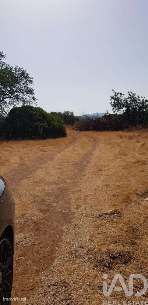 Terreno em Boliqueime de 13750,00 m2 - Grande imagem: 3/6