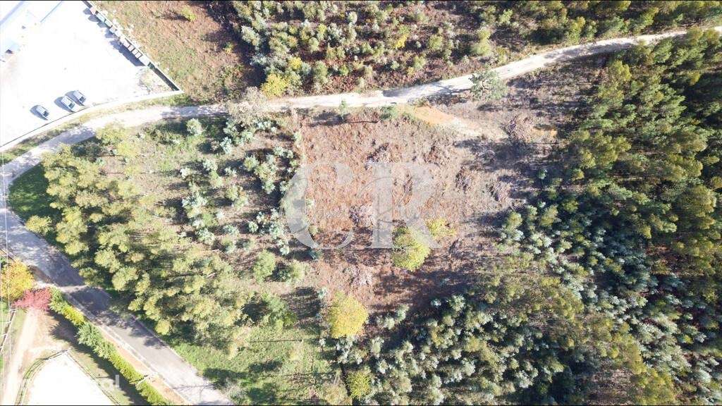 Oportunidade Única para Investimento Imobiliário em Figueiró dos Vinho - Grande imagem: 3/4