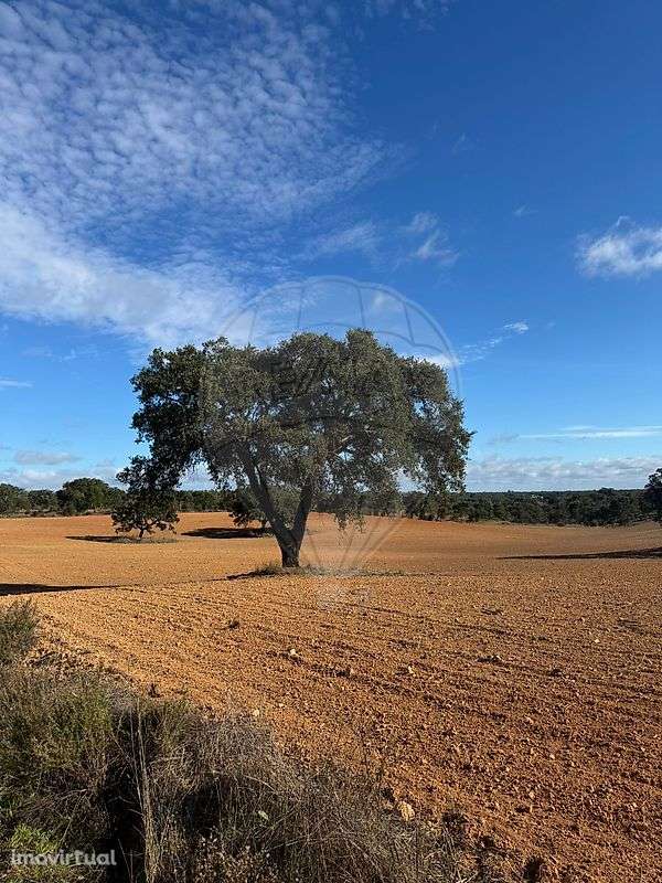 Terreno  para venda - Grande imagem: 3/22