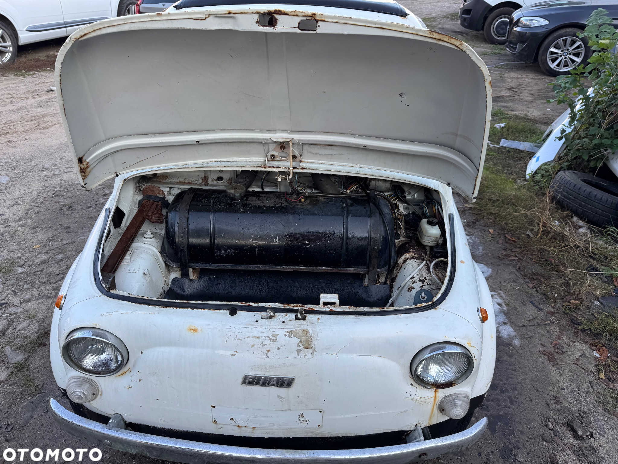Fiat 500 - 8