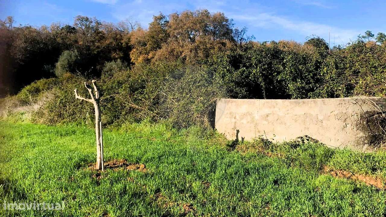 Terreno  para venda - Grande imagem: 3/8