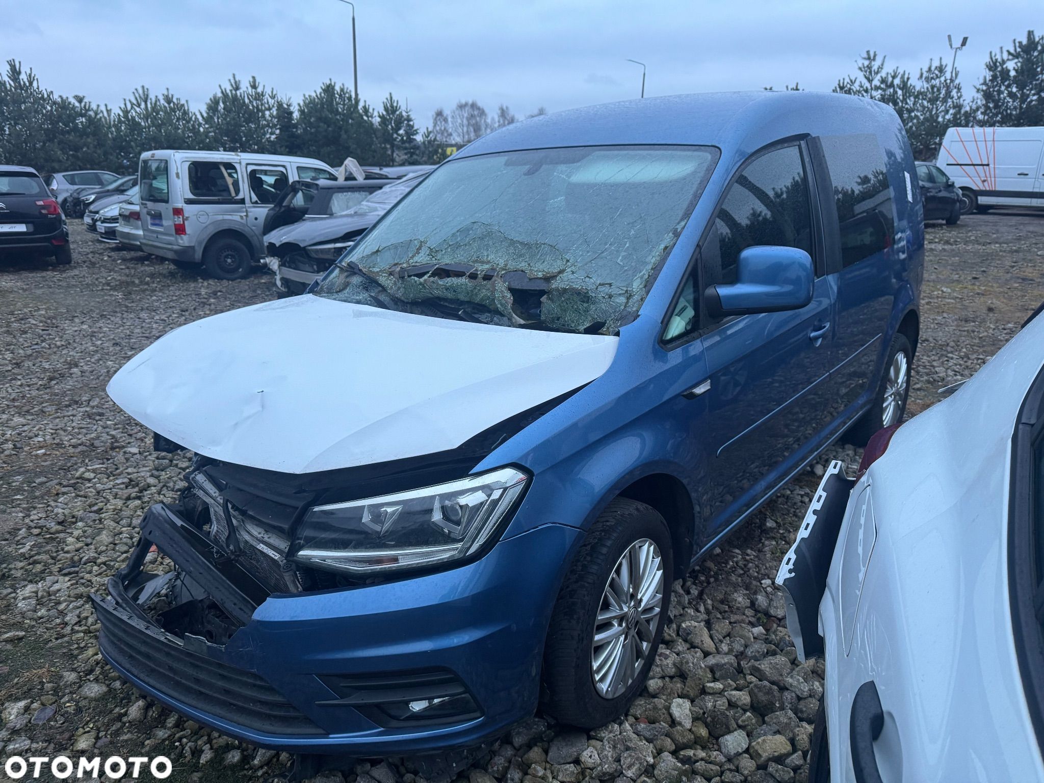 Volkswagen Caddy 2.0 TDI DSG - 1