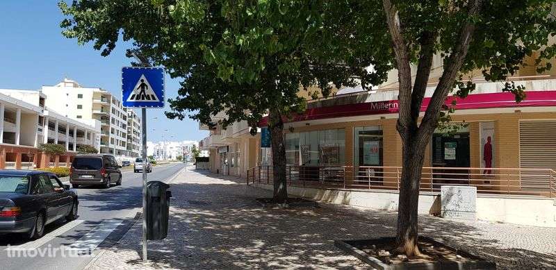 Arrecadação em Armação de Pera - Grande imagem: 2/11