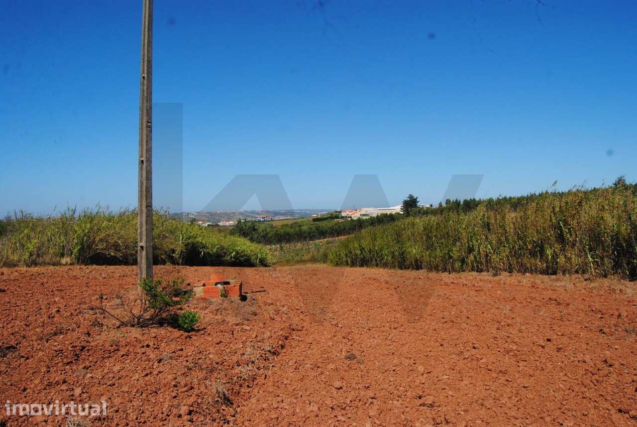 Terreno com 16.520 m2 em A dos Cunhados - Grande imagem: 5/20