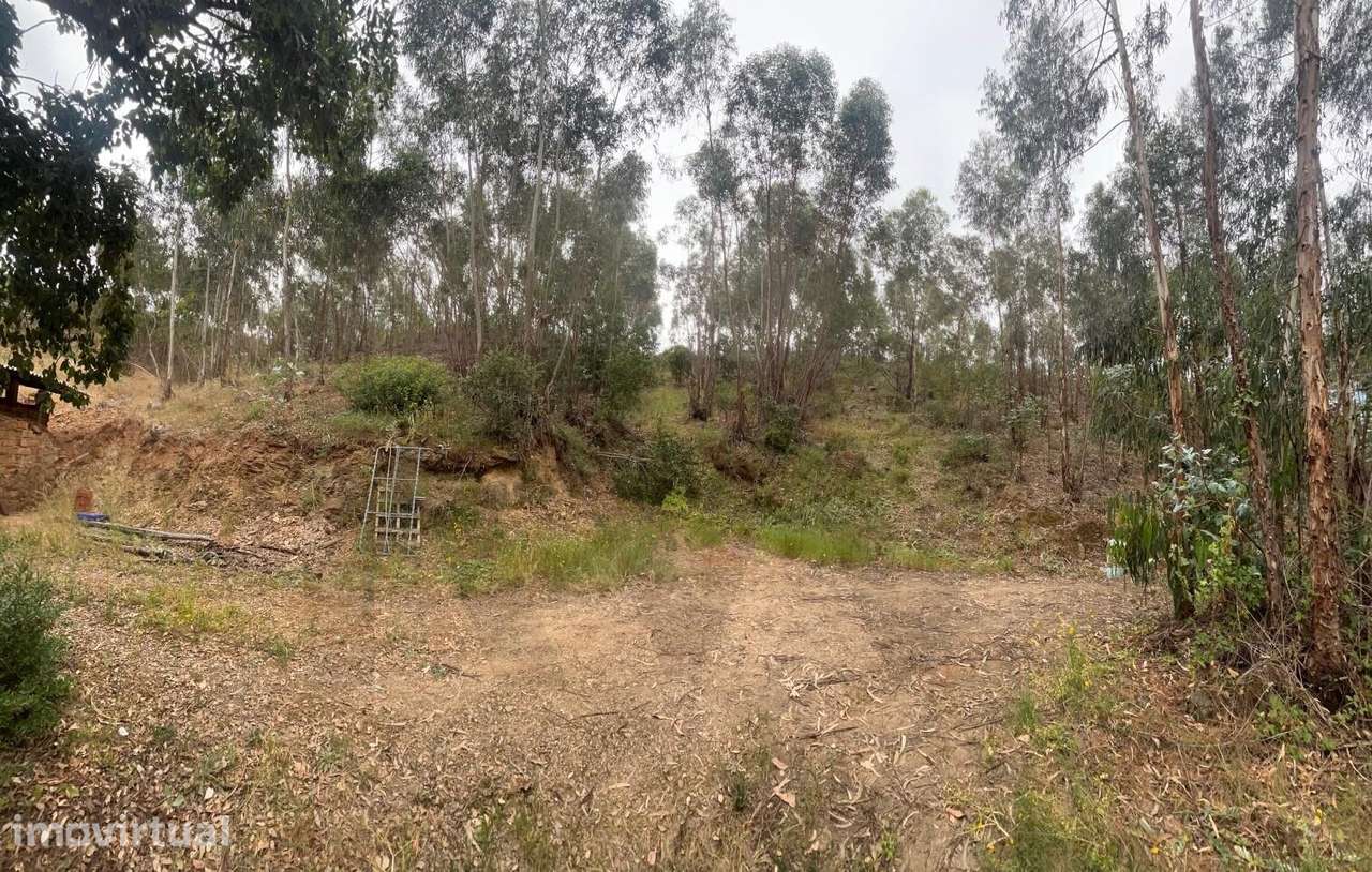 Terreno Rústico de 2,9 ha com Potencial Agrícola e Florestal – Senhora - Grande imagem: 4/41