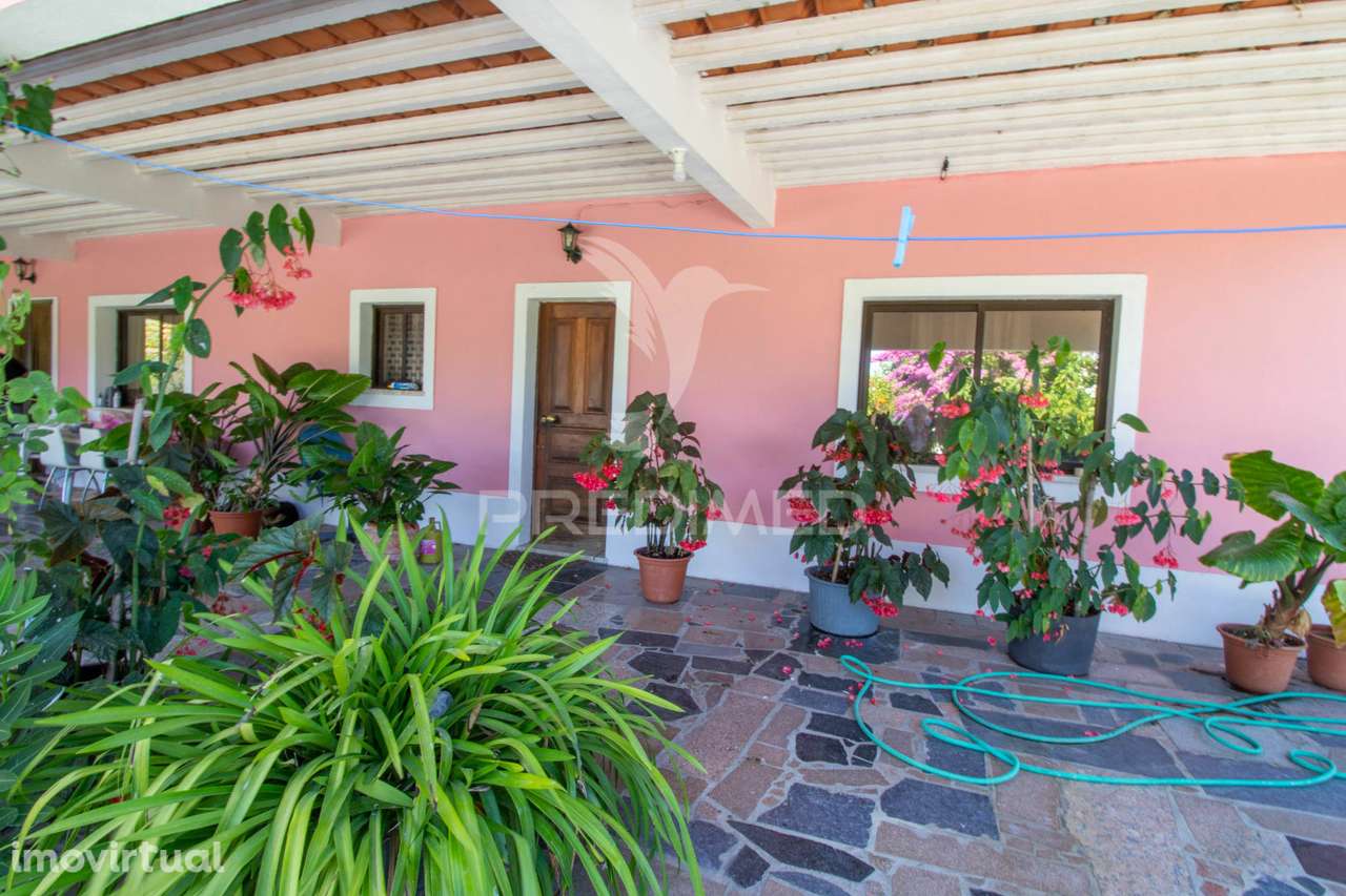 Herdade vinícola na zona do Poceirão - Grande imagem: 2/23