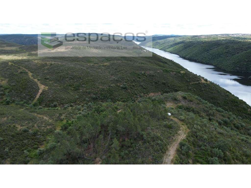 Terreno Monte Fidalgo - Grande imagem: 3/18