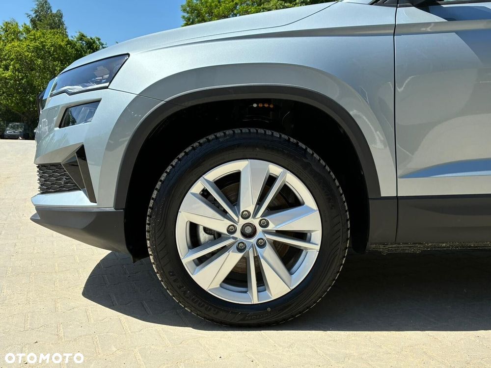 Skoda Karoq - 30