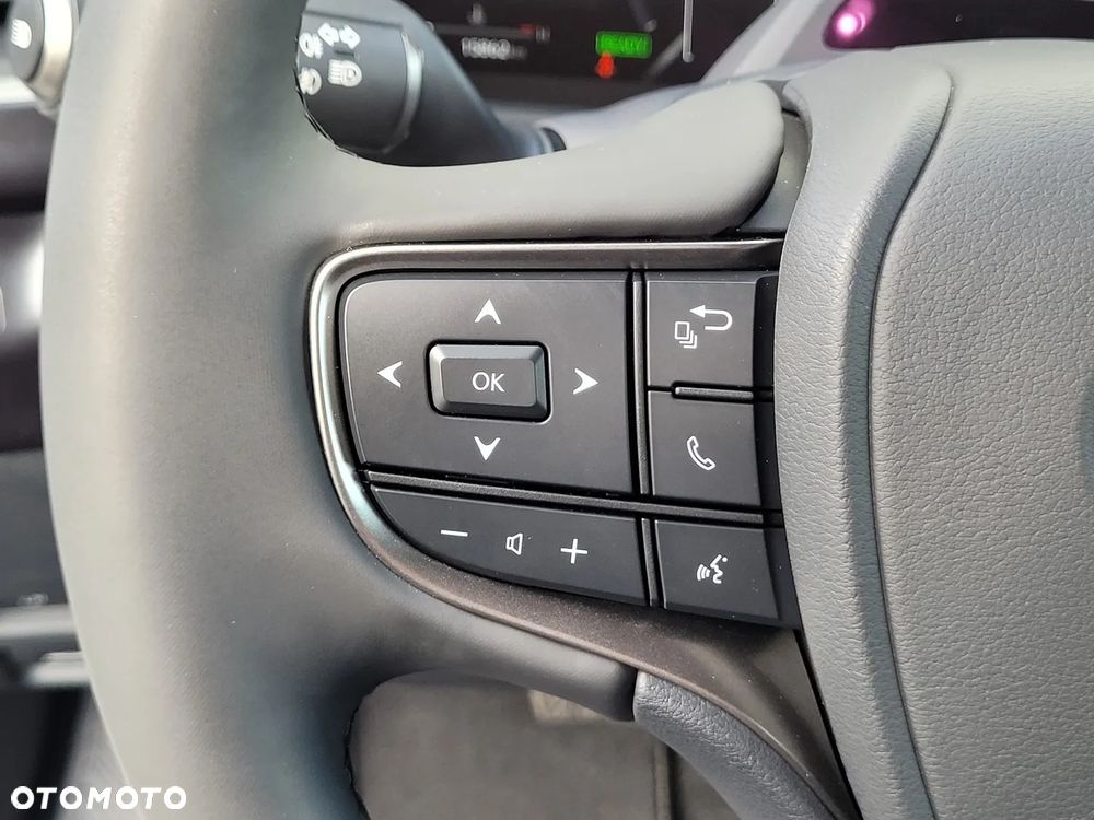 Lexus UX 300h F Sport Design - 25