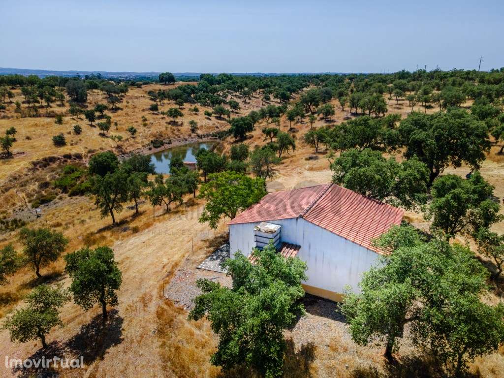 Quinta T2 em Serpa | Vista para a barragem - Grande imagem: 3/56