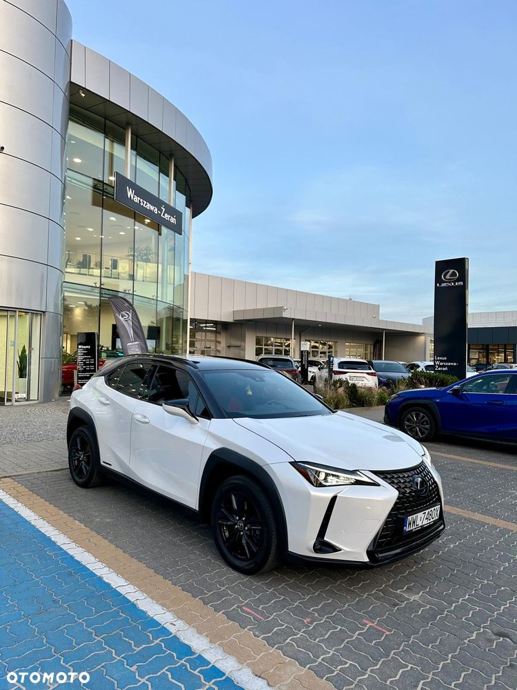 Lexus UX 250h - 30
