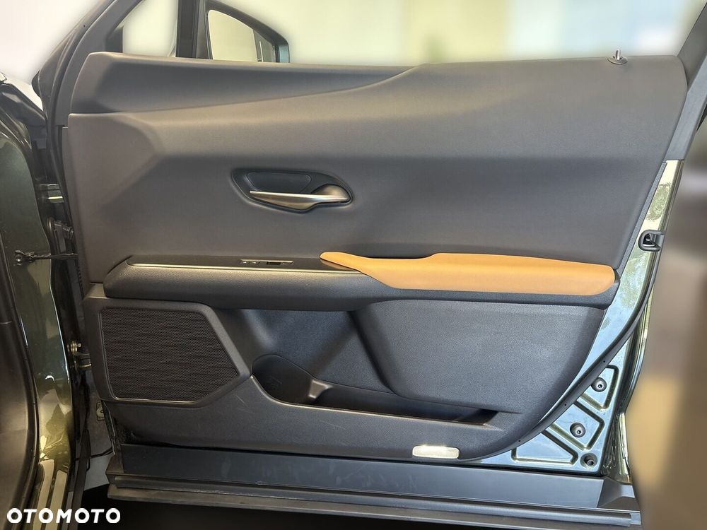 Lexus UX - 19