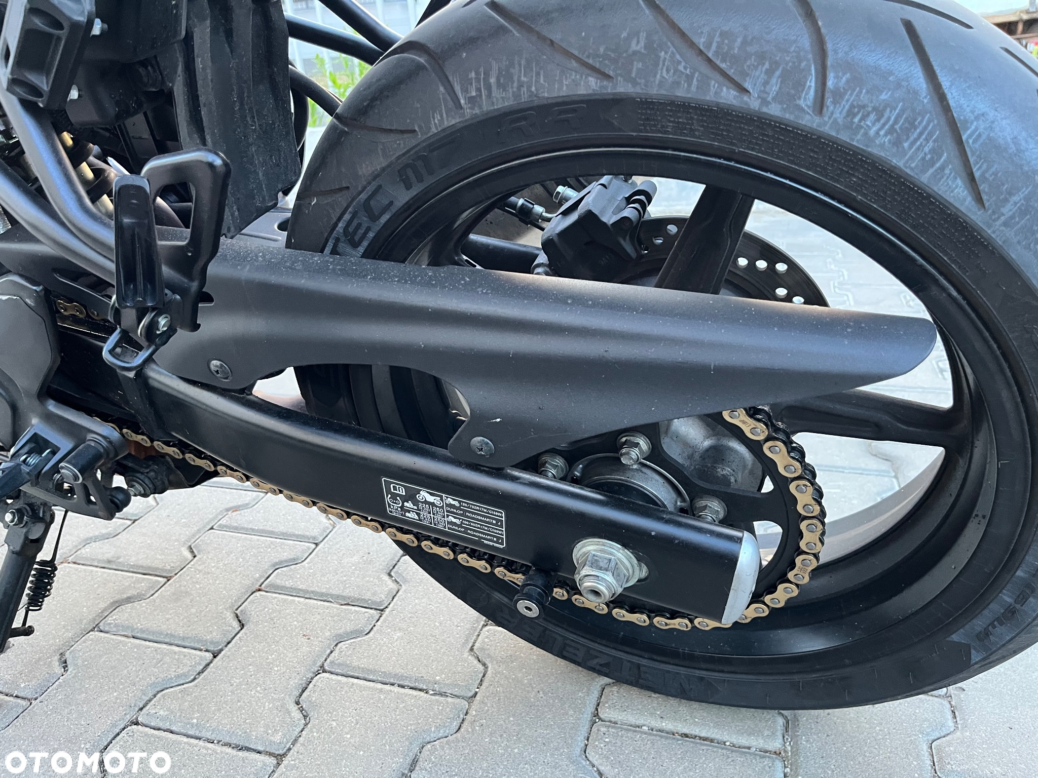 Suzuki SV - 12