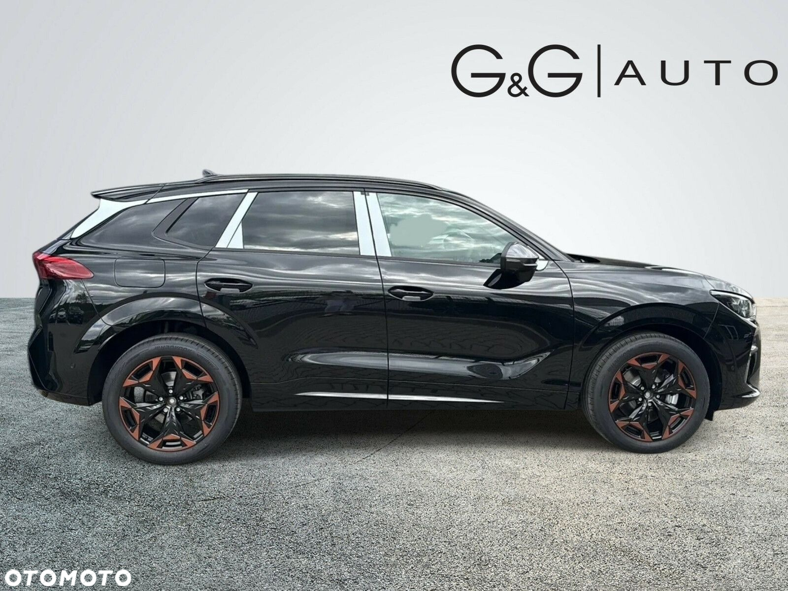 Cupra Terramar 2.0 TSI 4Drive DSG - 5