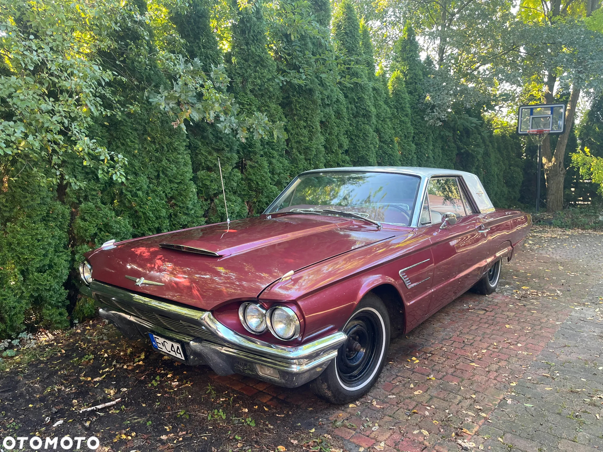 Ford Thunderbird - 18
