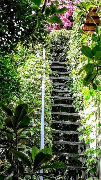 Alojamento Local em casa senhorial com restaurante e loja individual - Grande imagem: 3/24