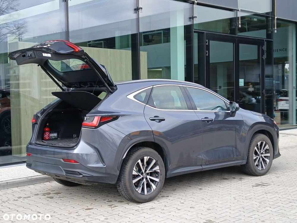 Lexus NX 350h Elegance 2WD - 37