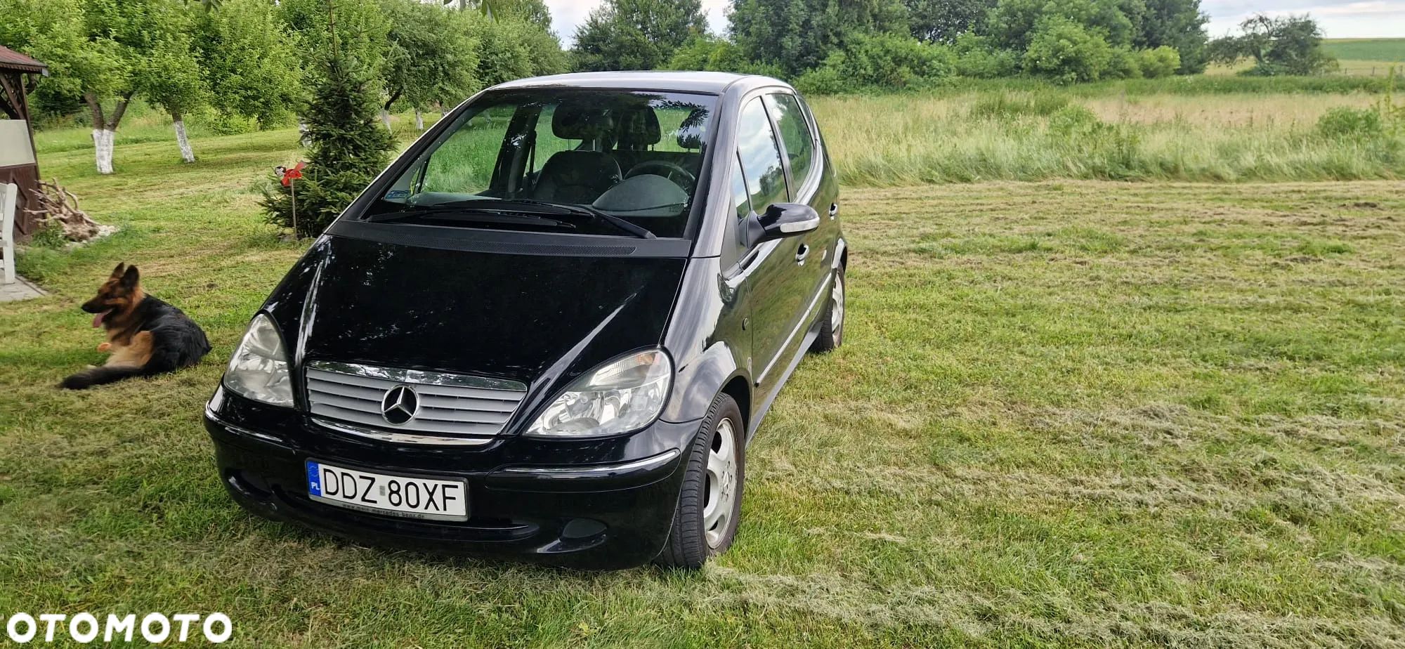 Mercedes-Benz Klasa A 170 CDI L Classic - 1