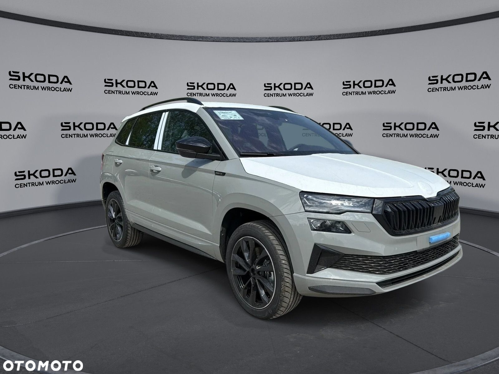 Skoda Karoq - 2