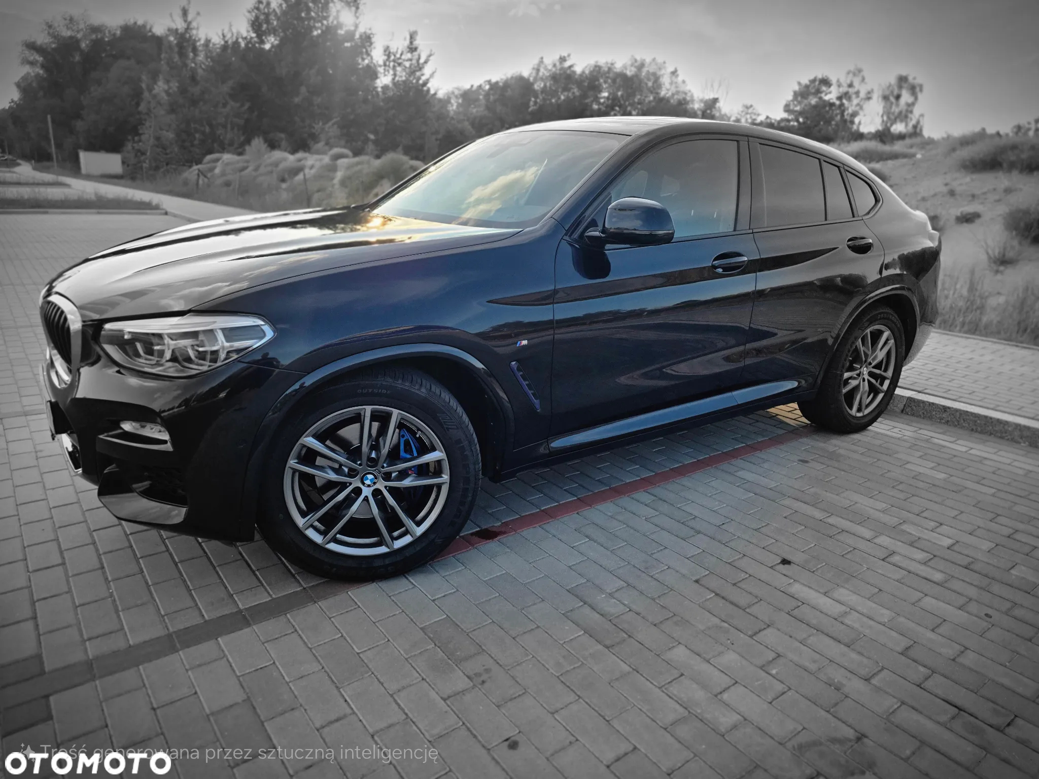BMW X4 xDrive30i GPF M Sport X sport - 2