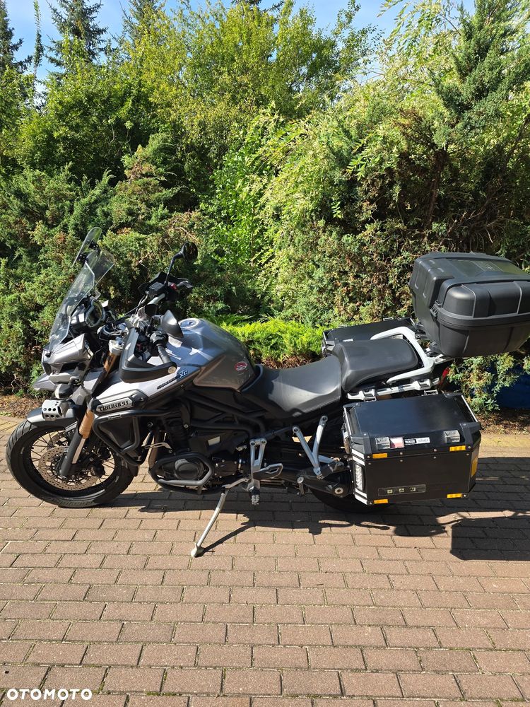 Triumph Tiger - 3