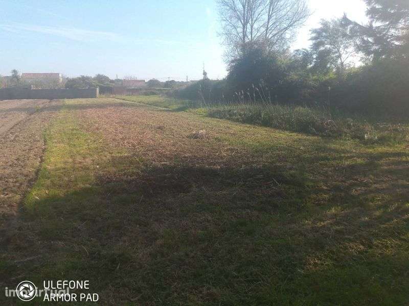 Terreno rustico - perto da Barrinha/Videira Sul - Grande imagem: 3/6