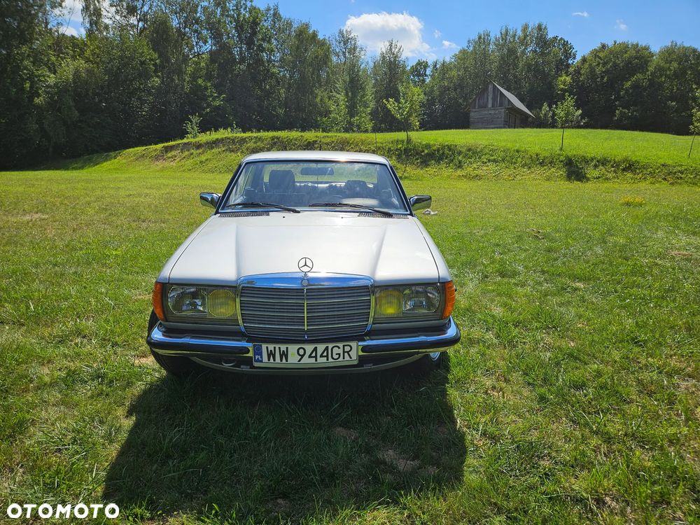 Mercedes-Benz W123 - 4