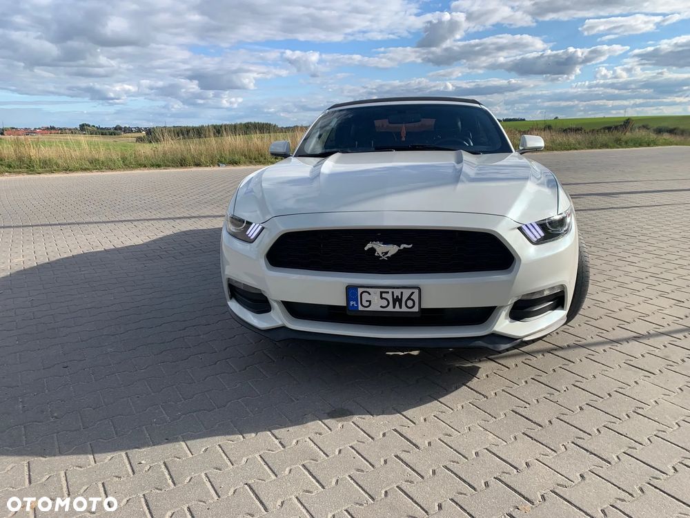 Ford Mustang - 2