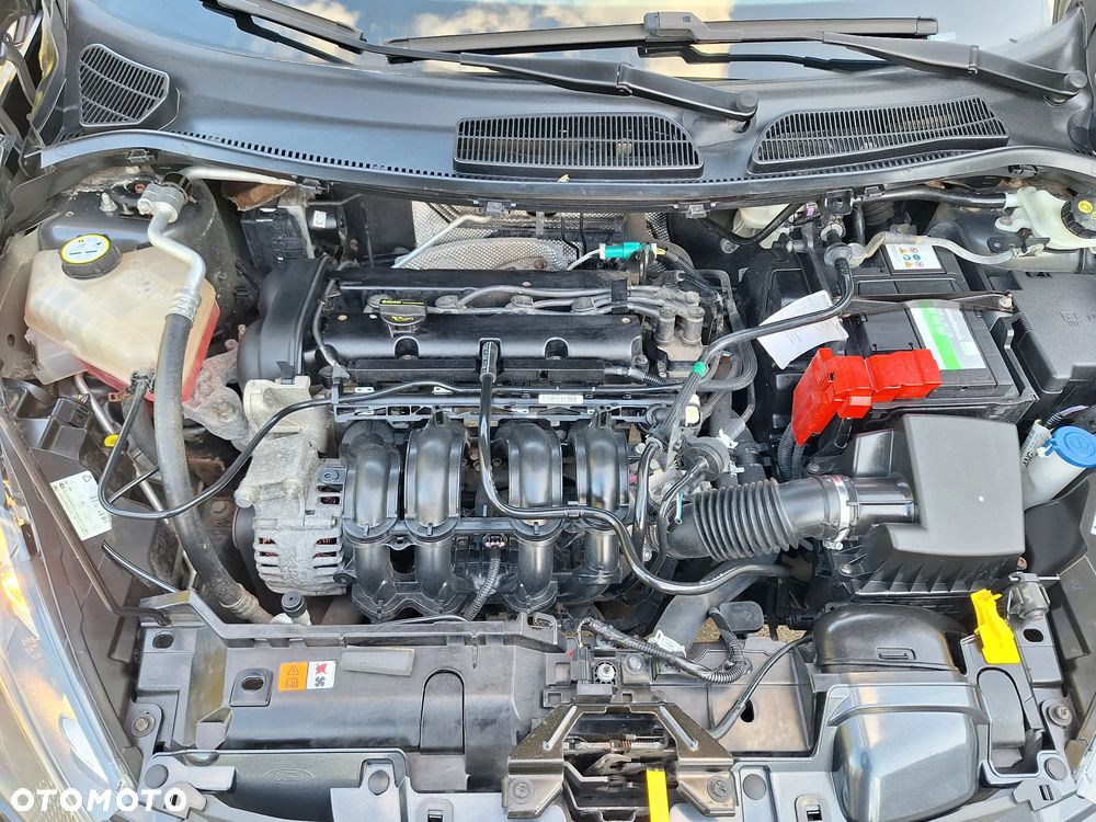 Ford Fiesta 1.25 Celebration - 37